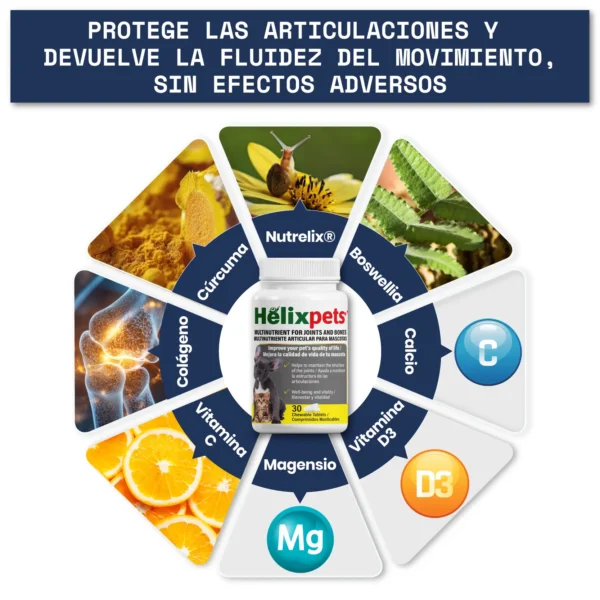 Helixpets - Imagen 5