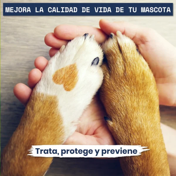 Helixpets - Imagen 6