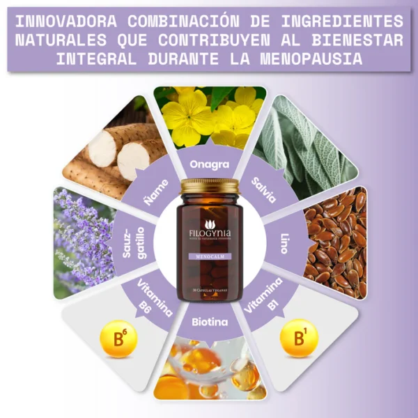 Filogynia Menocalm - Imagen 4