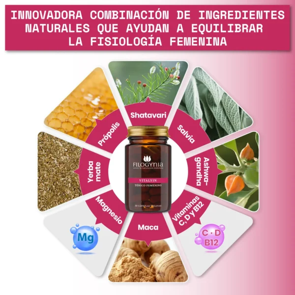 Filogynia Vitalyin - Imagen 3