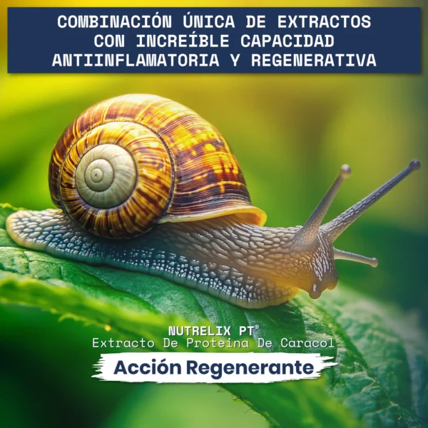 Helix Original - Imagen 3