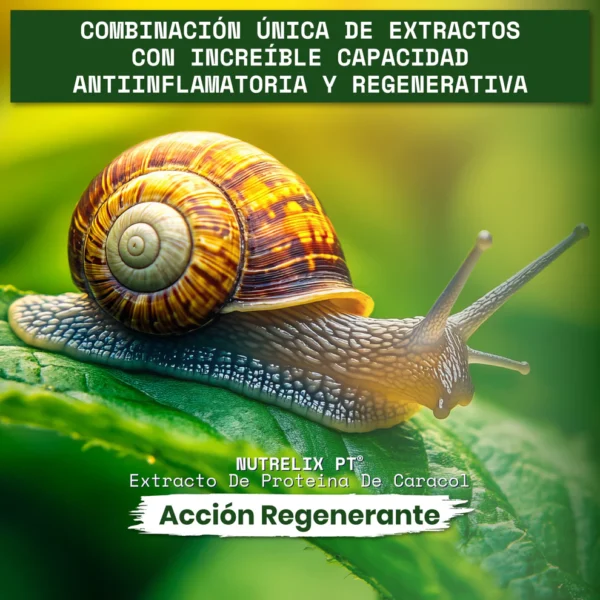 Helix Original Complex - Imagen 4
