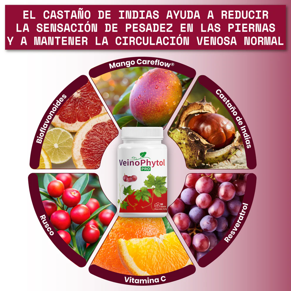 Veinophytol Cápsulas - Imagen 5